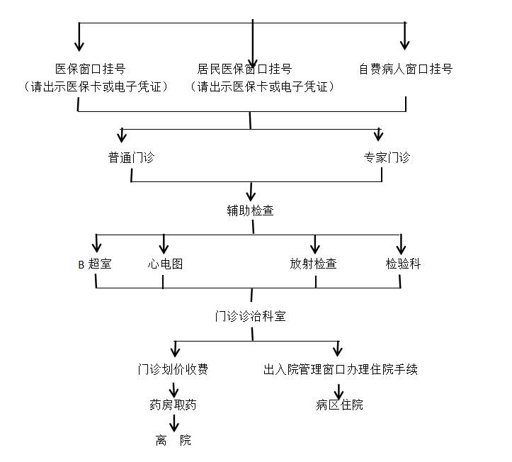 就医流程图.jpg